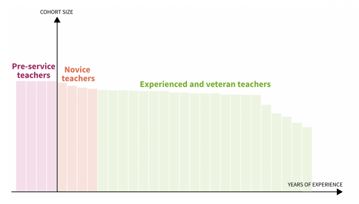 Graph showing cohort size of pre-service teachers, novice teachers, and experienced/veteran teachers, showing attrition only toward the end of the experienced/veteran cohort around retirement age